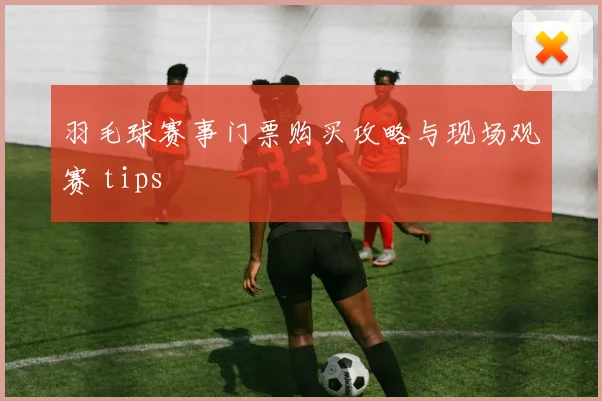 羽毛球赛事门票购买攻略与现场观赛 tips