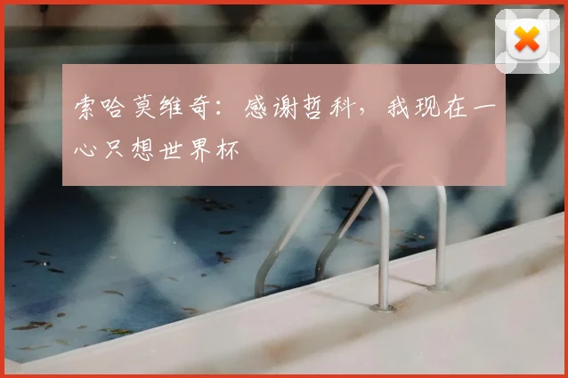 索哈莫维奇：感谢哲科，我现在一心只想世界杯
