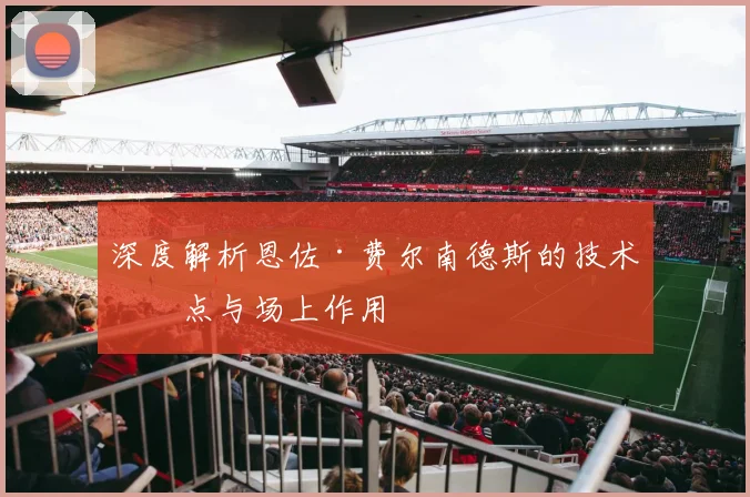 深度解析恩佐·费尔南德斯的技术特点与场上作用