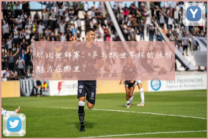 对比世锦赛:乒乓球世界杯的独特魅力在哪里?